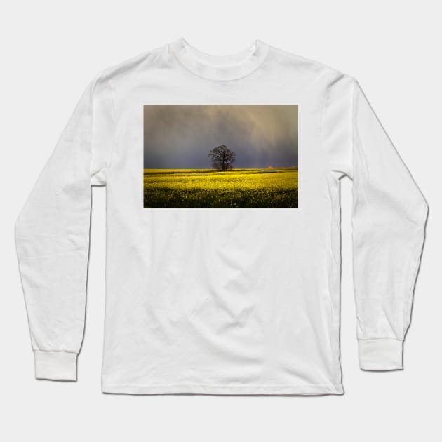 Threatening sky Long Sleeve T-Shirt by Violaman